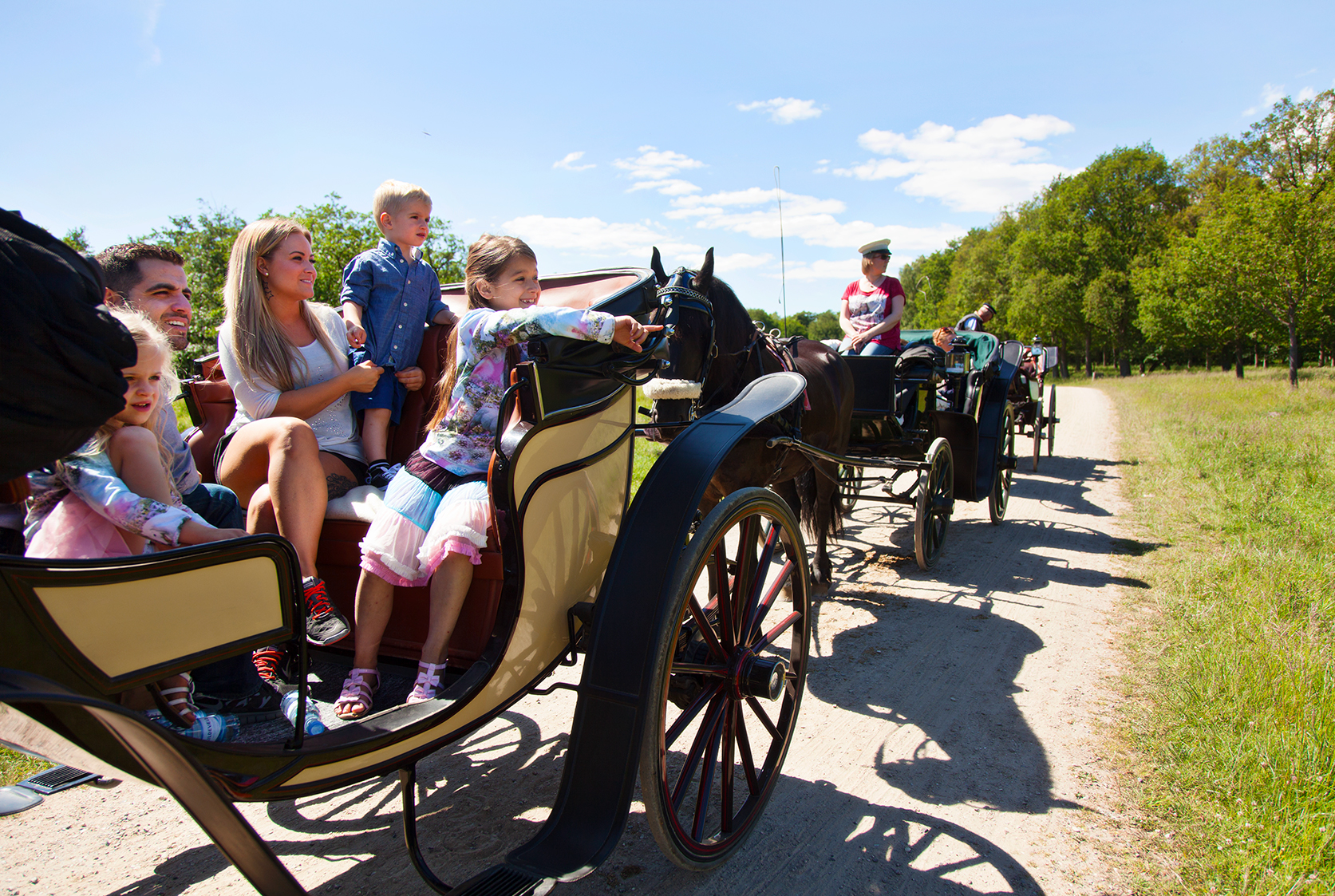 Hestevognskørsel i Jægersborg Dyrehave ved Bakken