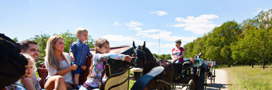 Hestevognskørsel i Jægersborg Dyrehave