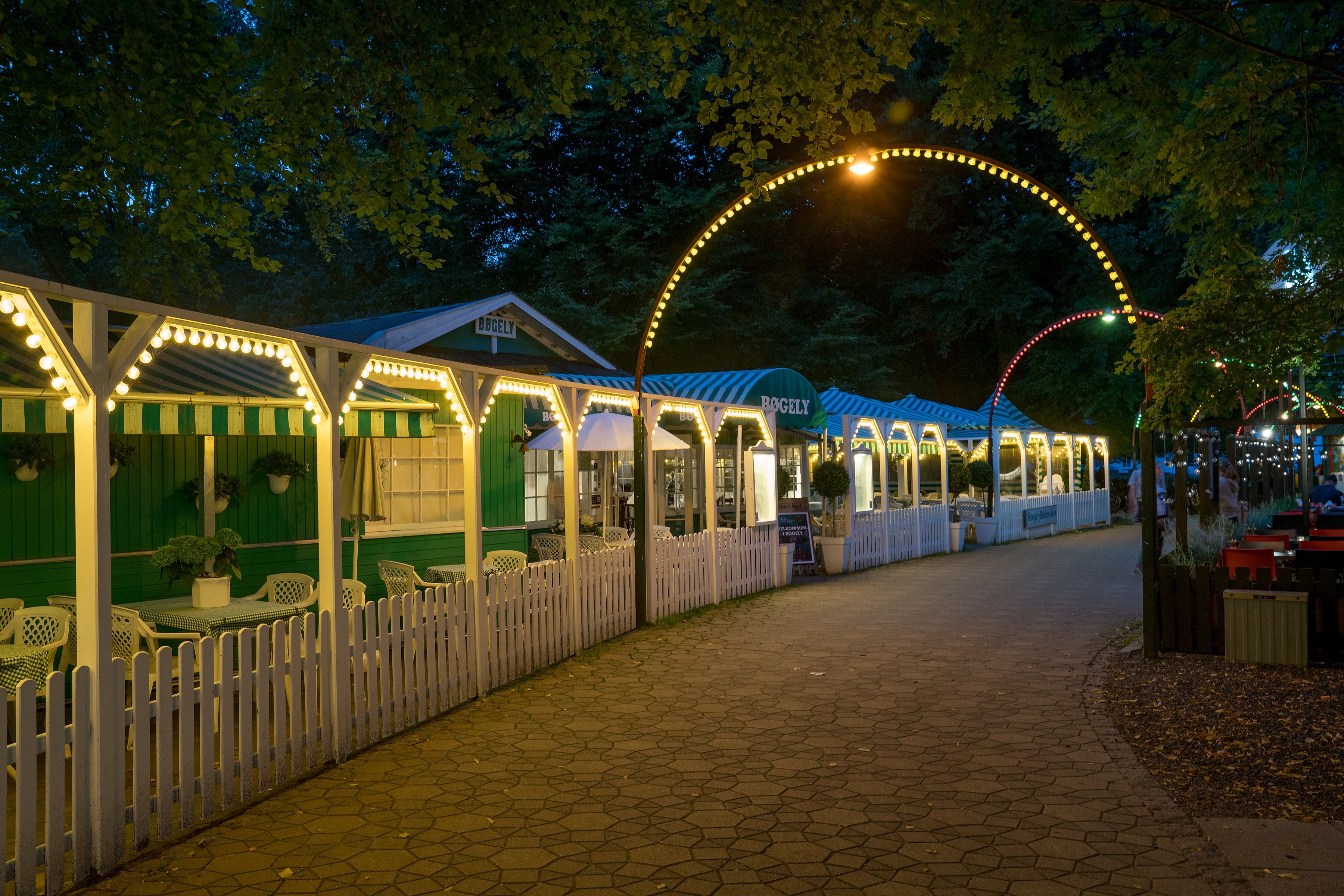 Bøgely i aftenlys.jpg