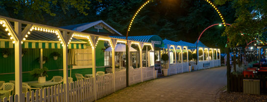 Bøgely i aftenlys.jpg