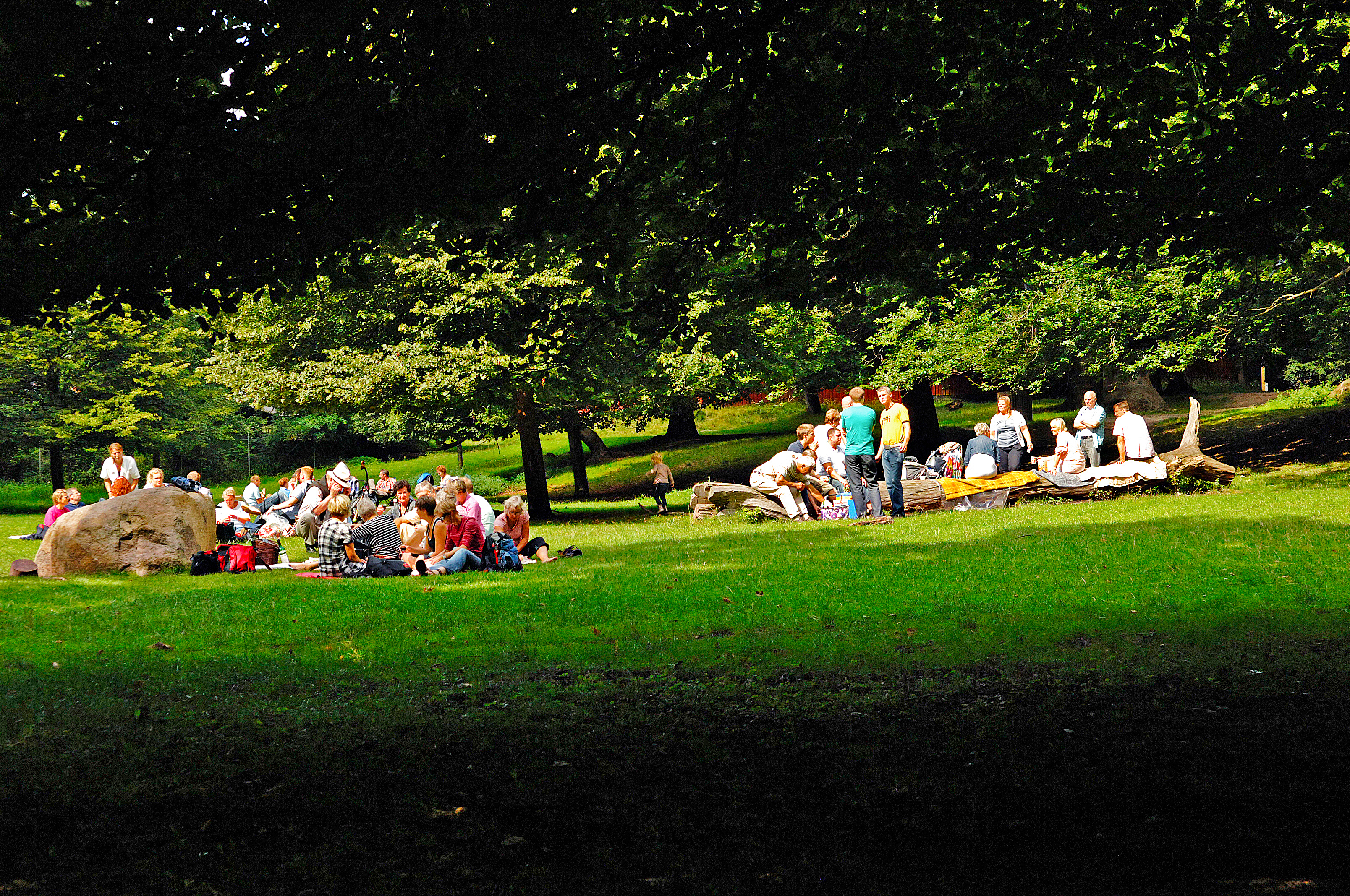 Bakken Mad Gruppe Stemning Picnic