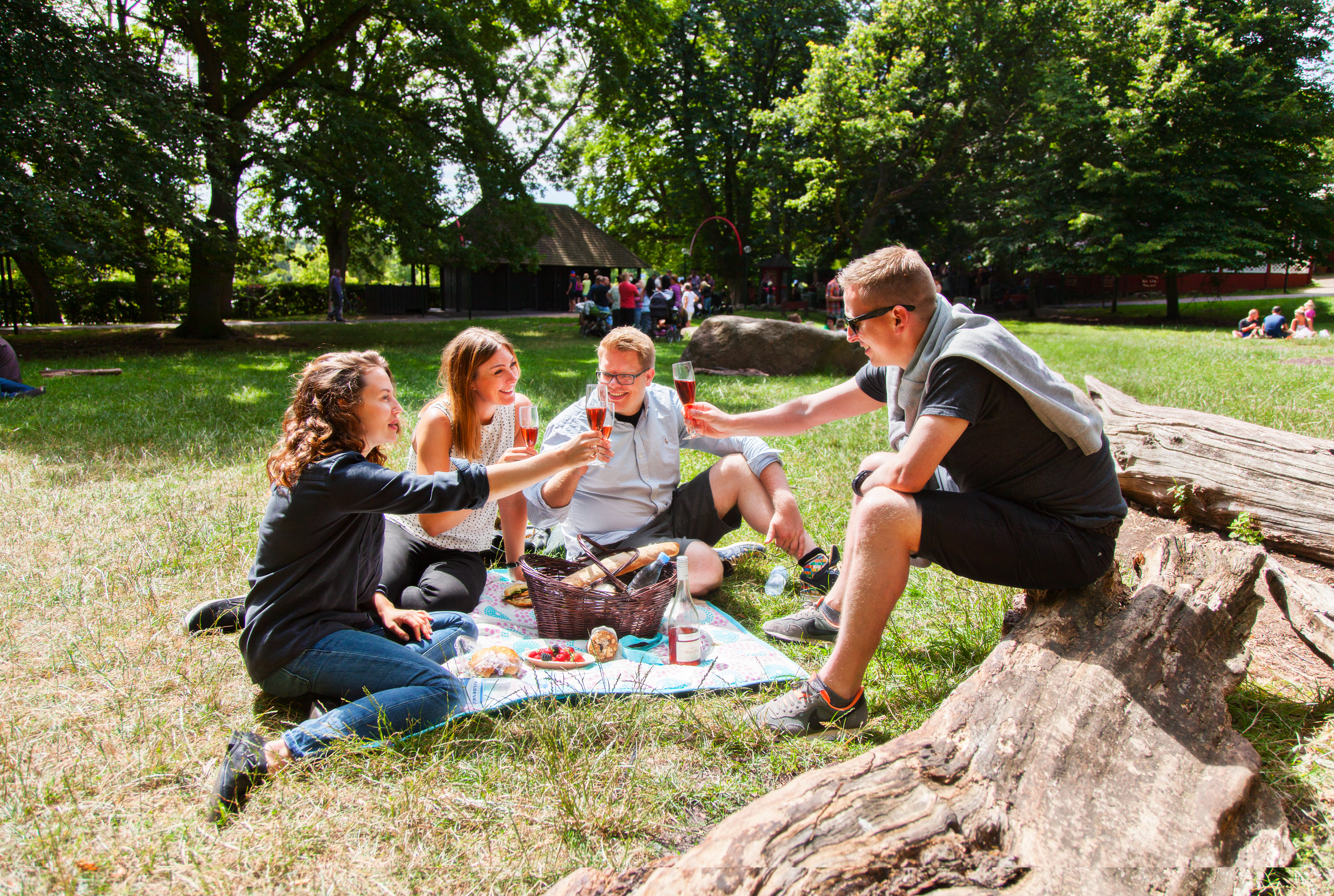 Bakken Mad Gruppe Voksen Stemning Picnic