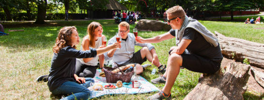 Bakken Mad Gruppe Voksen Stemning Picnic