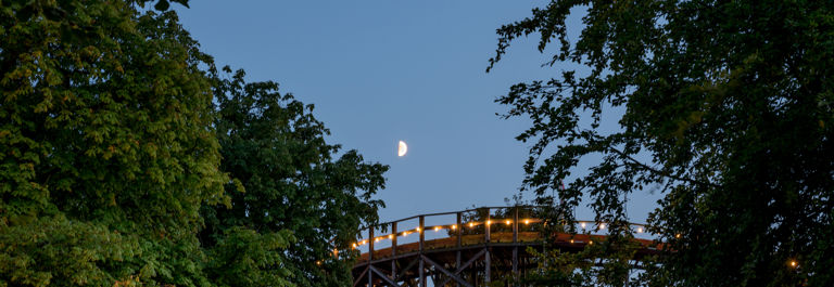 Bakken Forlystelse Rutschebanen Stemning Aften