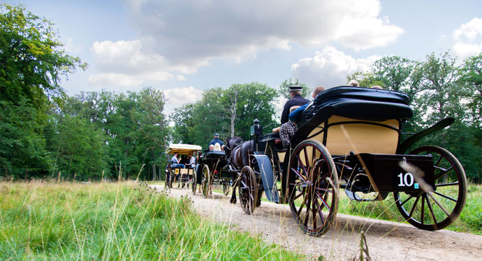 Bakken Dyrehaven Kapervogne Gruppe Voksen Stemning Koeretur