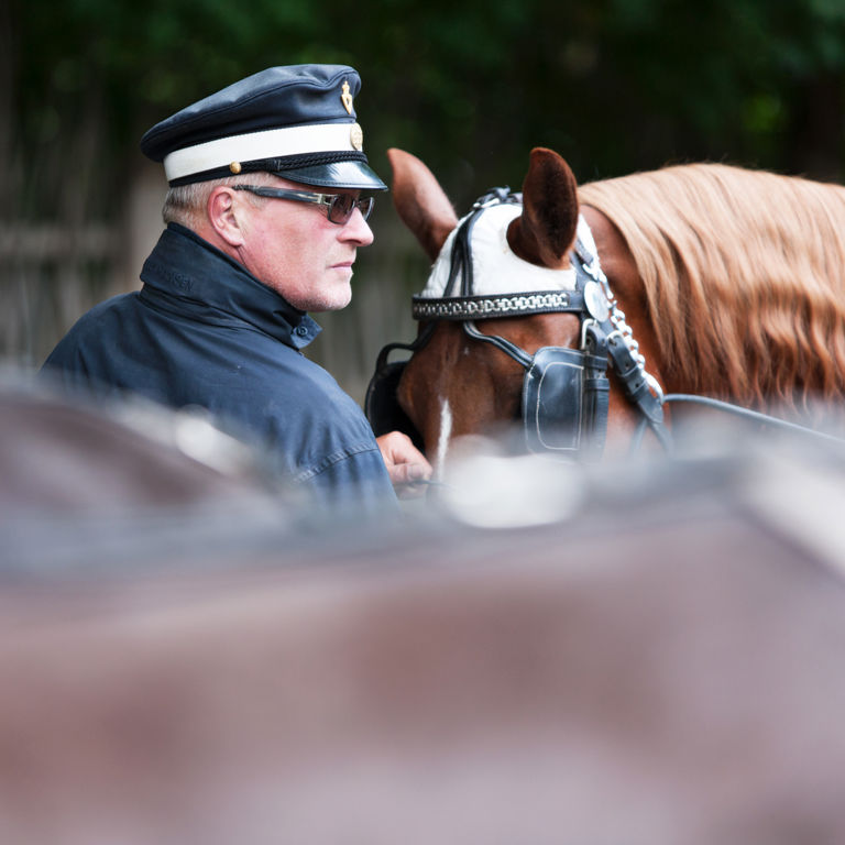 Tag på en hyggelig hestevognstur i den smukke Dyrehave ved Bakken!