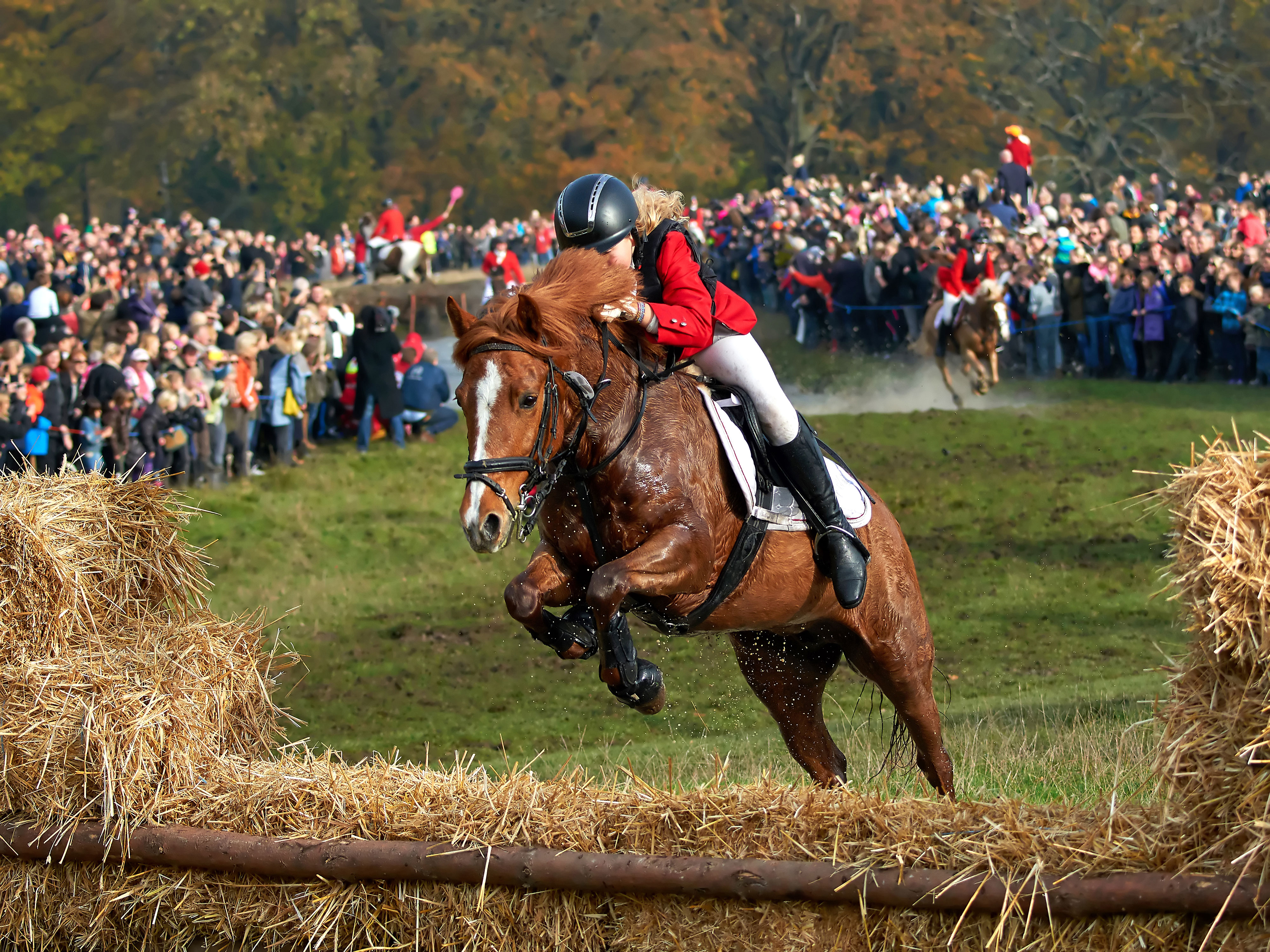 Hubertusjagt i Dyrehaven nord for København