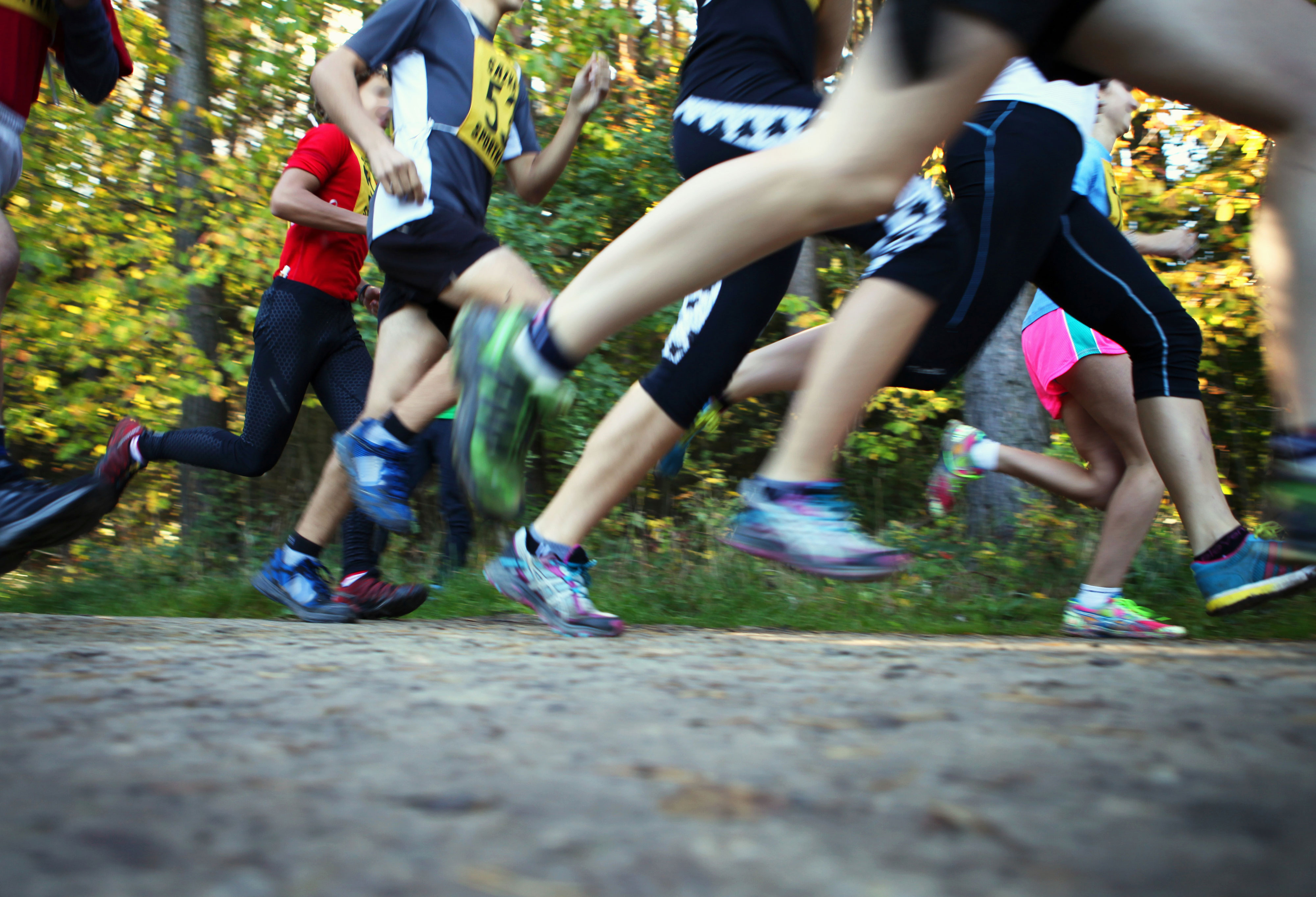 Eremitageløbet i Jægersborg Dyrehave
