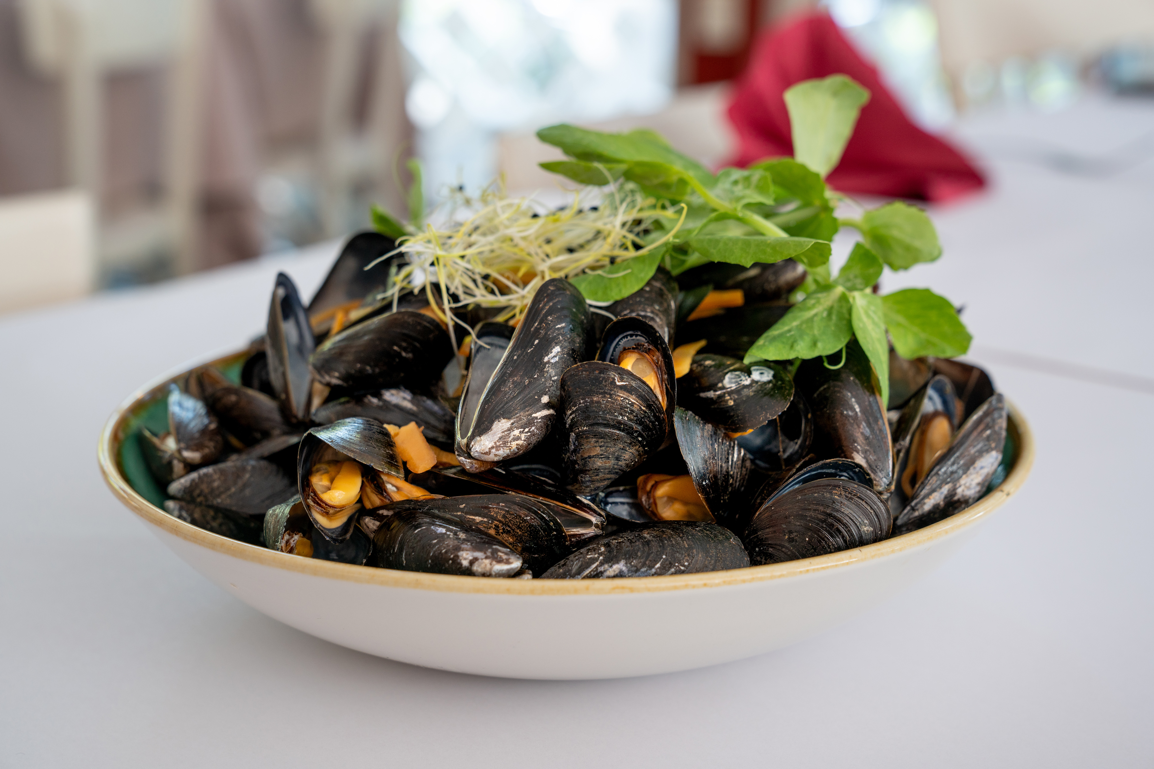 Røde Port på Bakken