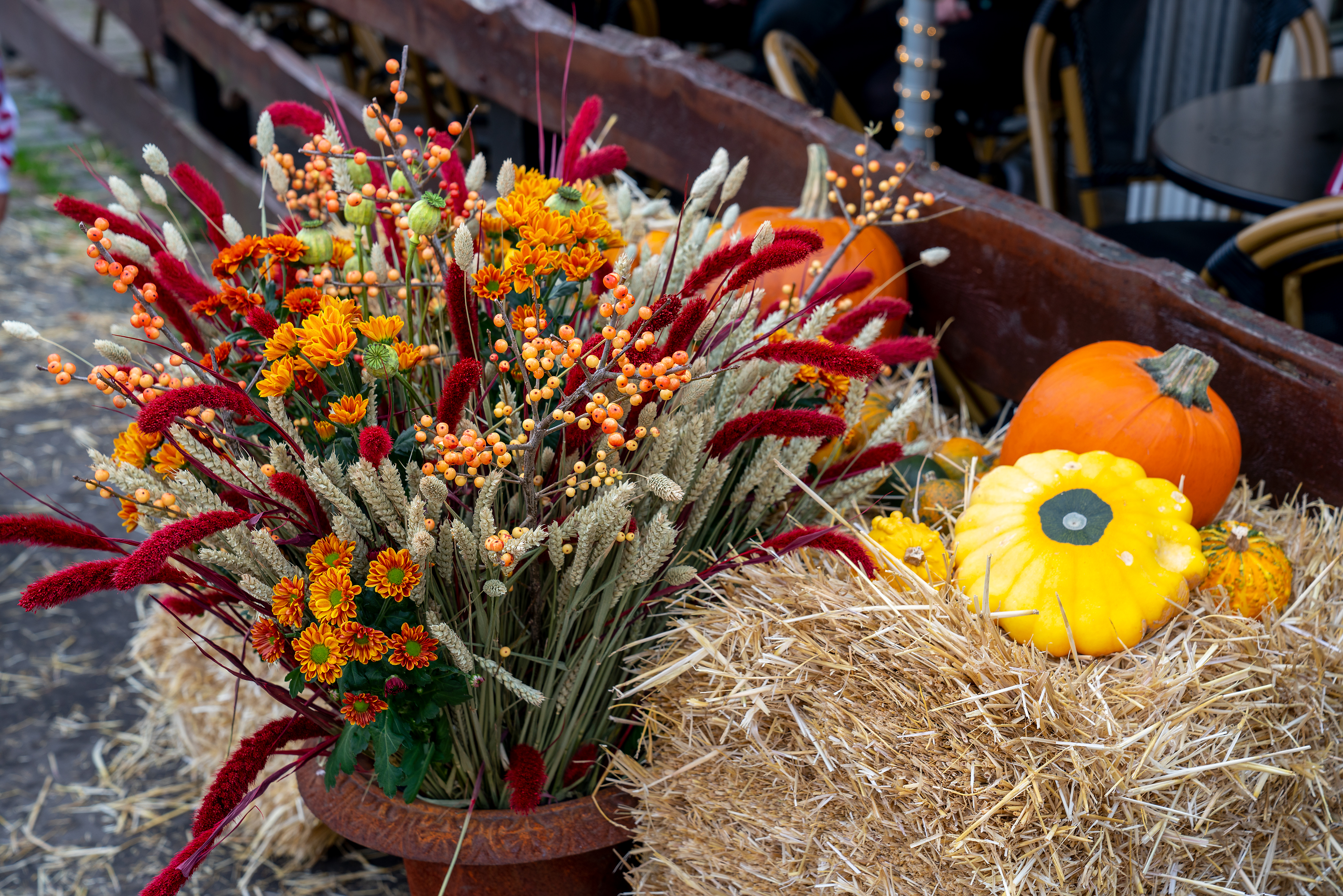 Efteraarsferie Efteraar Blomster Udsmykning Graeskar Hoestfest