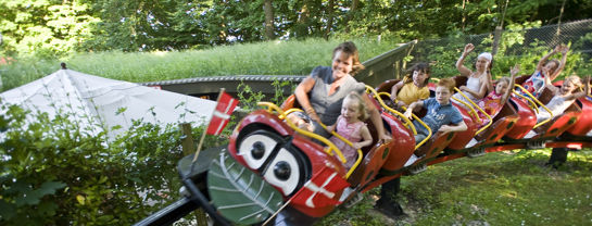 Mariehoenen Bakken Forlystelse Mariehøne