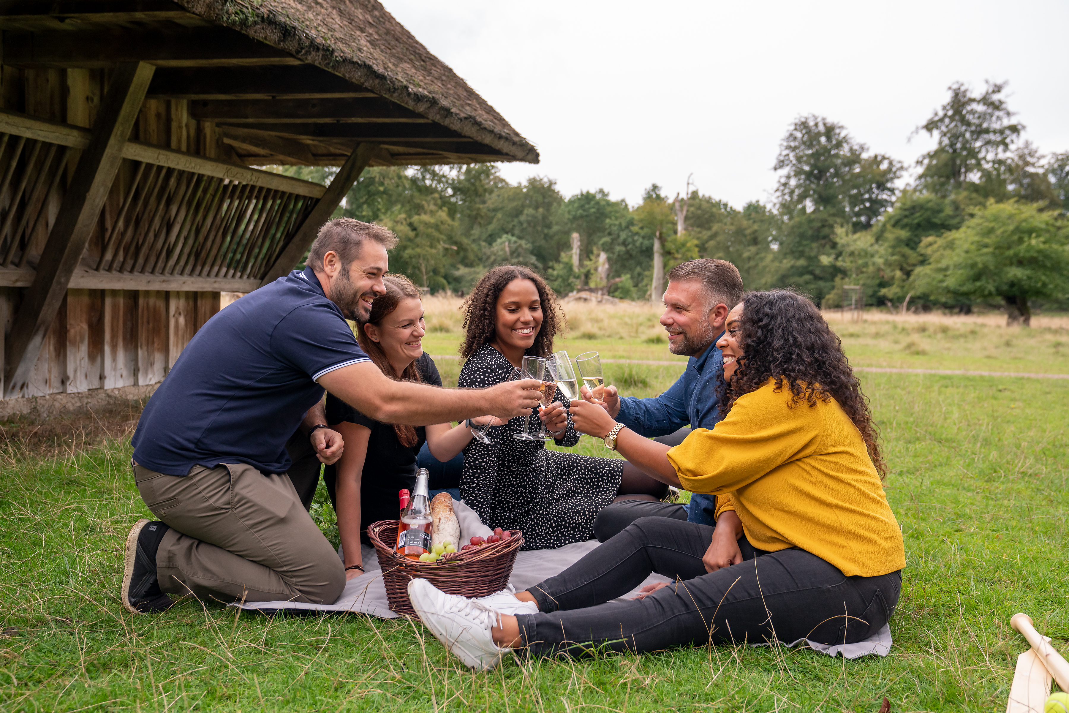 Picnickurve fra Bakken