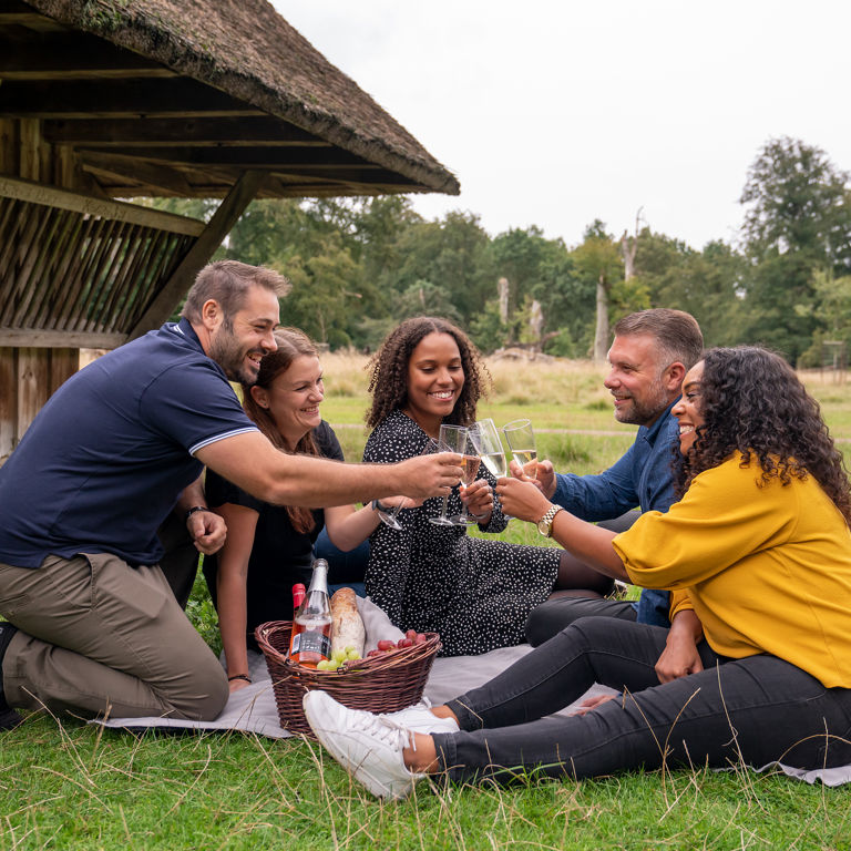Picnickurve fra Bakken