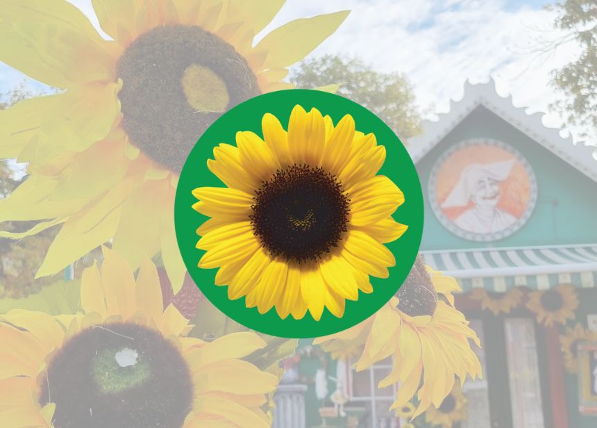 Solsikkesnor 860X616px4