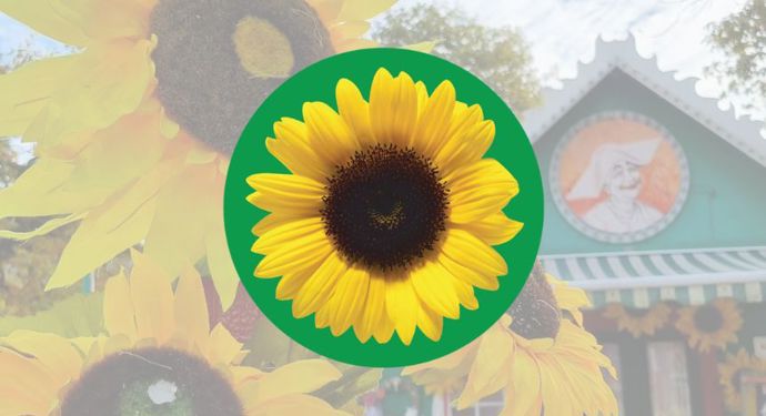 Solsikkesnor 860X616px4